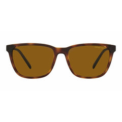 Ladies' Sunglasses Arnette CORTEX AN 4291