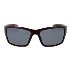 Champion Brown Stainless Steel Sunglasses