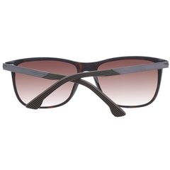 Police Brown Men Sunglasses