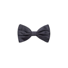 Dolce & Gabbana Gray Silk Bowtie