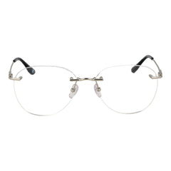 BMW Silver Titanium Glasses (Frames)