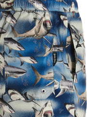 'Sharks' swimming trunks