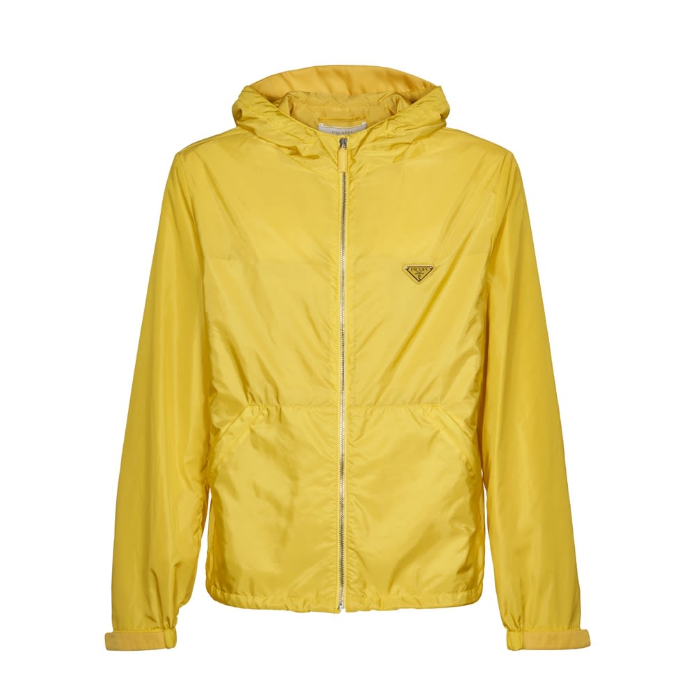 Yellow Jacket