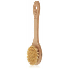 Skin Care Brush The Body Shop Cactus (1 Unit)